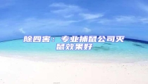 除四害:專(zhuān)業(yè)捕鼠公司滅鼠效果好