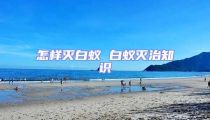 怎樣滅白蟻 白蟻滅治知識(shí)