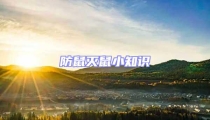 防鼠滅鼠小知識