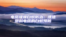 電纜堤壩白蟻防治:埋地塑料電纜的白蟻預防