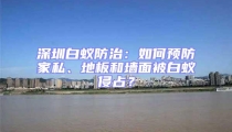 深圳白蟻防治：如何預防家私、地板和墻面被白蟻侵占？