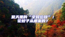 夏天里的“全民公敵”!花蚊子從哪來的?