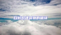 白蟻對建筑物的破壞