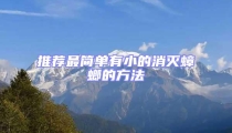 推薦最簡單有小的消滅蟑螂的方法