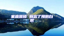 家庭裝修 別忘了預防白蟻