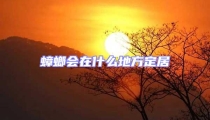 蟑螂會(huì)在什么地方定居