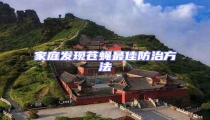 家庭發(fā)現(xiàn)蒼蠅最佳防治方法