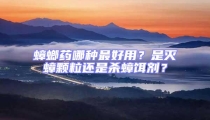 蟑螂藥哪種最好用？是滅蟑顆粒還是殺蟑餌劑？