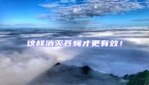 這樣消滅蒼蠅才更有效!