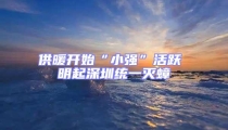 供暖開(kāi)始“小強(qiáng)”活躍 明起深圳統(tǒng)一滅蟑