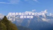 深圳殺蟲公司專業(yè)介紹快速滅臭蟲