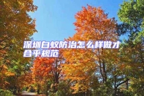 深圳白蟻防治怎么樣做才合乎規范