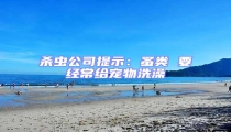 殺蟲公司提示:蚤類 要經(jīng)常給寵物洗澡