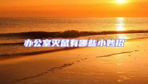 辦公室滅鼠有哪些小妙招