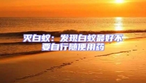 滅白蟻:發現白蟻最好不要自行隨便用藥