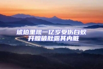 琥珀里現一億歲受傷白蟻 開膛破肚露其內臟