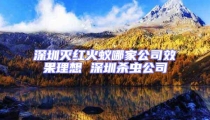 深圳滅紅火蟻哪家公司效果理想 深圳殺蟲公司