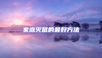 家庭滅鼠的最好方法