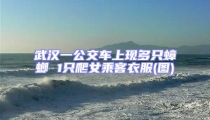 武漢一公交車上現多只蟑螂 1只爬女乘客衣服(圖)
