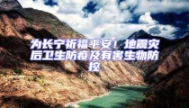 為長寧祈福平安!地震災后衛生防疫及有害生物防控