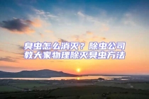 臭蟲怎么消滅？除蟲公司教大家物理除滅臭蟲方法