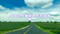 土棲白蟻巢群的形成和發(fā)展