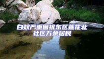 白蟻嚴重困擾東區蓮花北社區萬余居民
