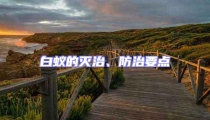 白蟻的滅治、防治要點(diǎn)