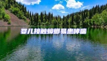 嬰兒接觸蟑螂易患哮喘