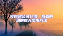 滅白蟻公司介紹:白蟻防治的四大常用方法