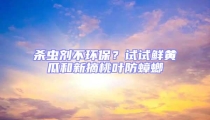 殺蟲劑不環保?試試鮮黃瓜和新摘桃葉防蟑螂