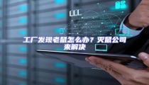 工廠發(fā)現(xiàn)老鼠怎么辦?滅鼠公司來解決