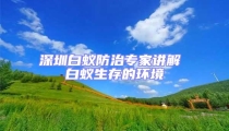 深圳白蟻防治專家講解 白蟻生存的環(huán)境