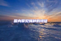 國內(nèi)常見蠅種的特征