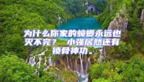 為什么你家的蟑螂永遠(yuǎn)也滅不完? 小強(qiáng)居然還有鎖骨神功。