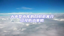 大中型水庫的白蟻危害介紹及防治策略