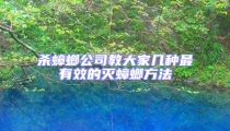 殺蟑螂公司教大家幾種最有效的滅蟑螂方法