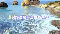 裝飾裝璜莫忘白蟻預防