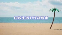 白蟻生活習(xí)性及危害