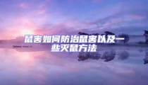 鼠害如何防治鼠害以及一些滅鼠方法