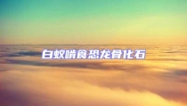 白蟻啃食恐龍骨化石
