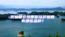 滅蟑螂公司帶你認識蟑螂有哪些品種?