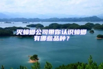 滅蟑螂公司帶你認(rèn)識蟑螂有哪些品種？