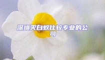深圳滅白蟻比較專業的公司