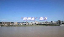 “除四害”常識