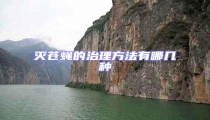 滅蒼蠅的治理方法有哪幾種