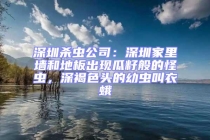 深圳殺蟲公司：深圳家里墻和地板出現瓜籽般的怪蟲，深褐色頭的幼蟲叫衣蛾