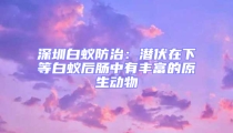 深圳白蟻防治:潛伏在下等白蟻后腸中有豐富的原生動物