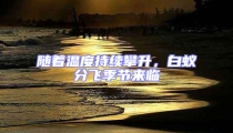 隨著溫度持續(xù)攀升,白蟻分飛季節(jié)來臨