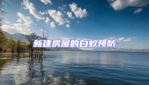 新建房屋的白蟻預防